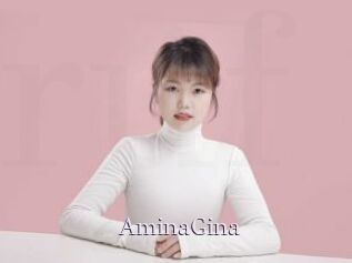 AminaGina