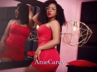 AnieCarey