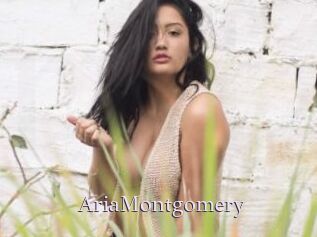 AriaMontgomery