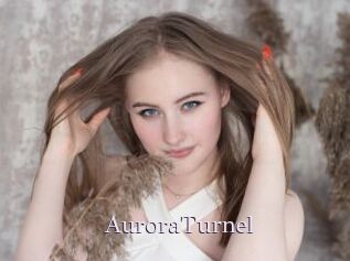 AuroraTurnel