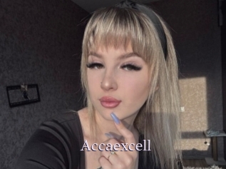 Accaexcell