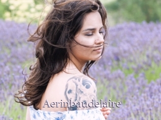 Aerinbaudelaire