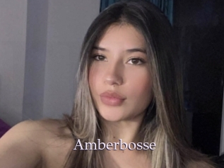 Amberbosse