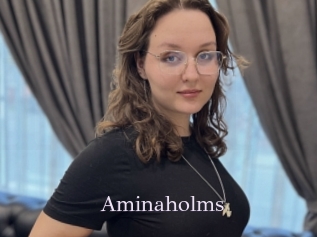 Aminaholms