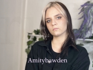 Amitybawden