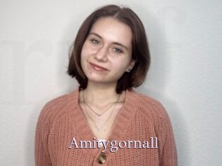 Amitygornall