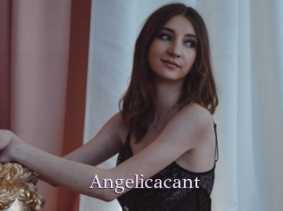 Angelicacant