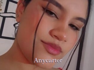 Anycarter