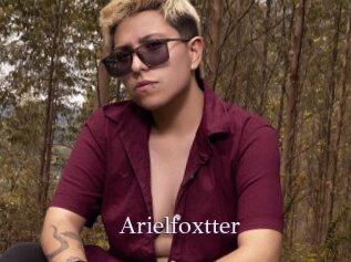 Arielfoxtter