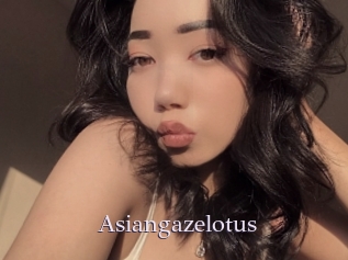 Asiangazelotus