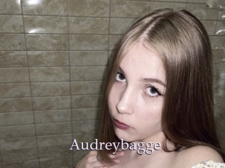 Audreybagge