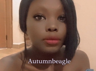 autumnbeagle Rencontre Une Femme