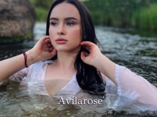 Avilarose