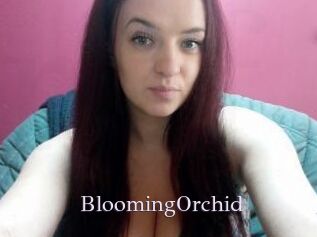 BloomingOrchid