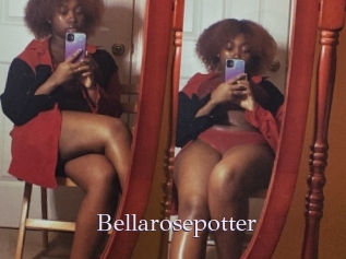Bellarosepotter