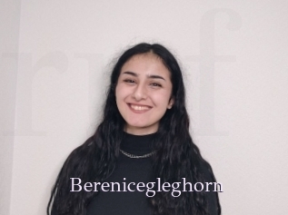 Berenicegleghorn