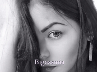 Bigassmia