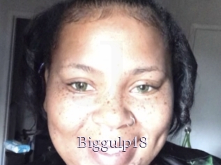 Biggulp18