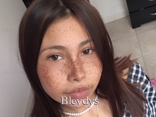Bleydys