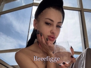 Breefigge