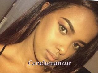 Canelamanzur
