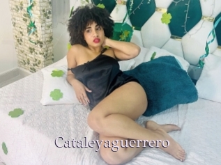 Cataleyaguerrero