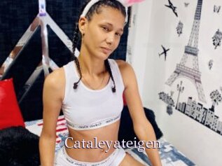 Cataleyateigen