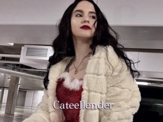 Cateellender