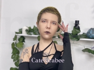 Catefarabee