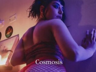 Cosmosis