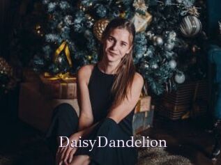 DaisyDandelion