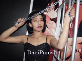DaniPunish