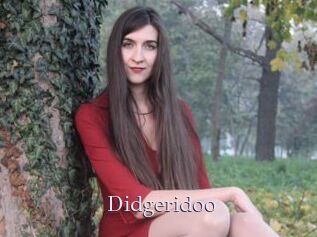 Didgeridoo