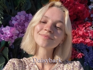 Daisybark