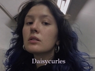 Daisycurles