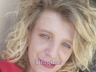 Dragibus
