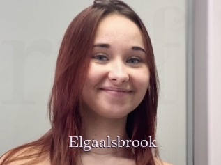Elgaalsbrook