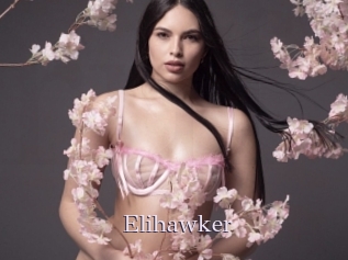 Elihawker