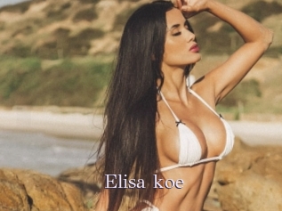 Elisa_koe