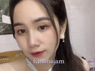 Elisanajam
