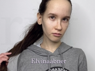 Elvinaabner