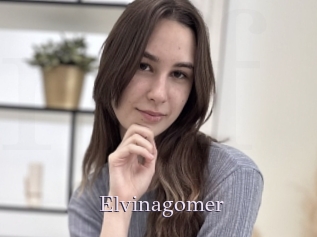 Elvinagomer
