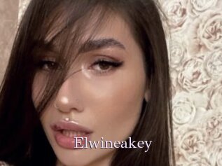 Elwineakey