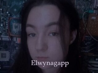 Elwynagapp