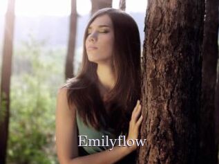 Emilyflow