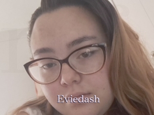Eviedash