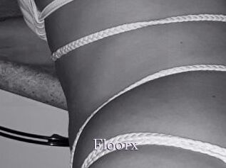 Floorx