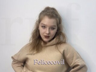 Felicecovil