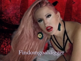 Findomgoaldigger