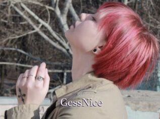 GessNice